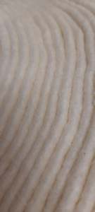 Batting: Batting Simply Cotton