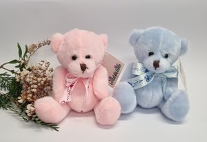 Small blue or pink teddy - Cherrywood Florist Tauranga