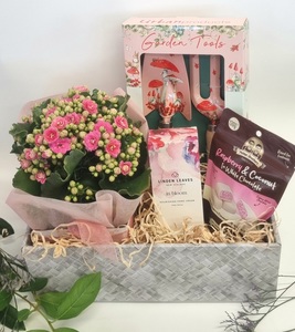 Gardeners Gift Basket Cherrywood Florist Tauranga