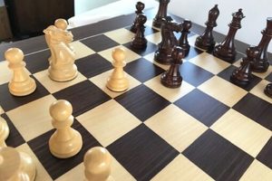 Chess: Anjan Super Classic HEAVY WEIGHTED Chess Set with Macassar Board. 101mm King