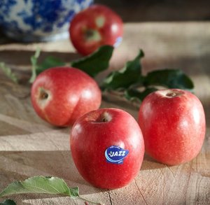 Fruit 1: Apples - Jazz - per kilo