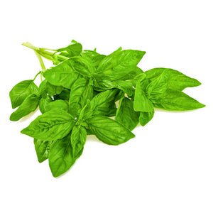 Basil - 100g