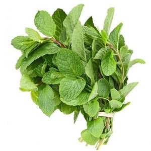 Herbs: Mint - 100g