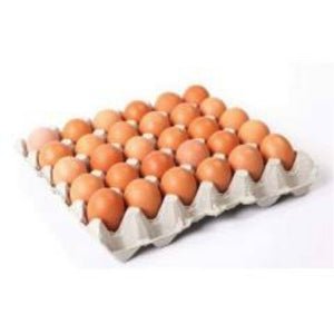 Eggs Size 6 - Tray