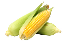 Vegetables: Sweetcorn - each