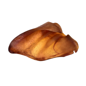 Products: Pig Ear - 5 pack - Cheweasy Himalayan Chews for Dog