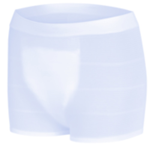 Ontex Healthcare: iD Care - Net Pants Ultra 25/packet