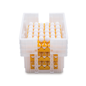 Plastic Stackable Egg Box (180 eggs) - Chicken Coops and Tractors Australia