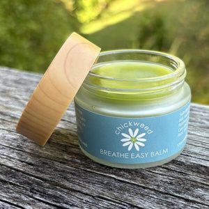 Products: Breathe Easy Balm - Chickweed - An all purpose healing balm