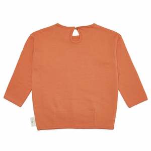 Algae Sweatshirt Raw Siena
