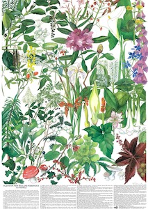 NZ Poisonous Plants Poster – FREE WHILE OUR STOCKS LAST