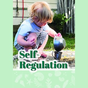 Products: Self-Regulation eBook
