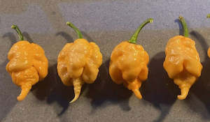 Seeds: Seeds - Starscream