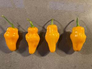 Seeds: Seeds - Habanero Yellow Lantern