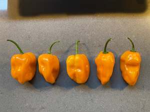 Seeds: Seeds - Habanero Orange
