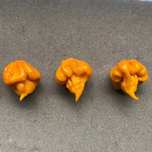 Seeds: Seeds - 7 Pot Primo Orange