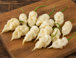Seeds: Seeds - Jays White Ghost x Scorpion