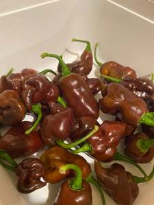 Seeds: Seeds - SBS Demon Chocolate Habanero
