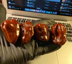 Seeds: Seeds - Habanero Chocolate