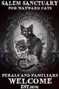 Best Selling Items: 'Salem Sanctuary for Wayward Cats' metal sign