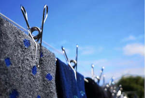 Bento Ninja: FOREVER PEGS Marine Grade Stainless Steel Clothes Pegs from Bento Ninja (20 pegs)