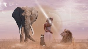 Products: Animal Whispering