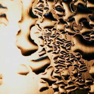 ChoiceFruits - Annual Subscription - (1) Bronze