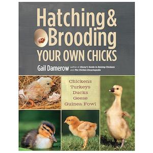 Books Magazines: Hatching & Brooding Your Own Chicks