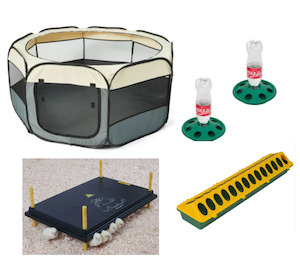 Chick Brooder combo  WP60 #4