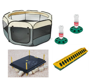 Incubators Breeding: Chick Brooder combo  WP50 #3