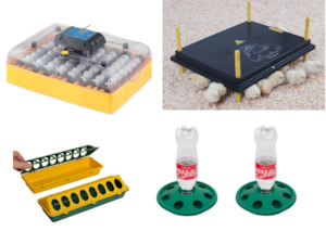 Brinsea Incubators: Brinsea Ovation 56 Eco Incubator Starter Combo #4