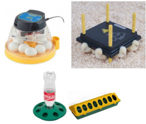 Brinsea Mini II Eco Incubator Starter Combo #1