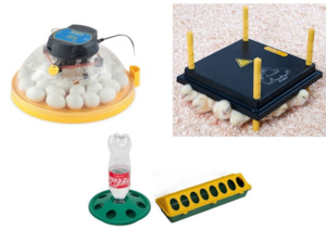 Brinsea Incubators: Advance Starter Package #2 Maxi II