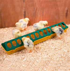 Chick Feeders Drinkers: Chick Feeder Trough 500mm 28 Hole