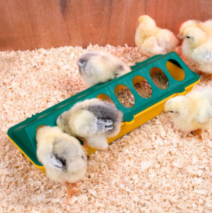 Chick Feeder Trough 300mm 16 Hole