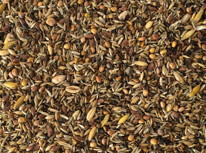 Food: Topflite Wild Bird Seed Mix -  Fine 1kg (Pick N Mix)