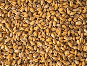 Topflite Wheat 1kg (Pick N Mix)