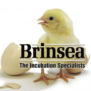 Free Incubation Hand Book