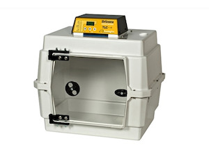Specialist Brooding Intensive Care Incubation: TLC40 Zoologica II Brooder