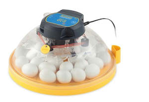 Brinsea Incubators: Brinsea Maxi II Eco Incubator