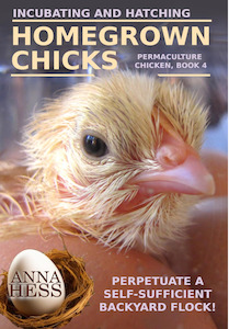 Best Selling Collection: Incubating and hatching Homegrown chicks