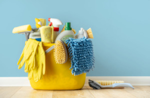 Incubators Breeding: Brinsea Incubator Cleaning Fee