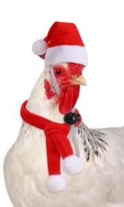 Accessories: Christmas Chicken Costume