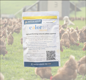 Colortek Yellow - Natural high performing yellow pigments for egg yolks