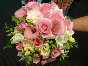 Products: Calla lily