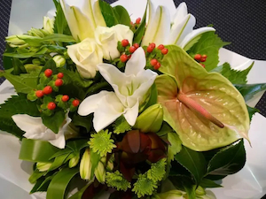 Products: White Delight