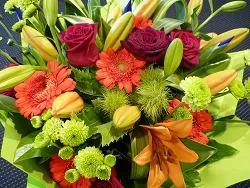 Bright and Beautiful