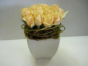 Stunning Champagne