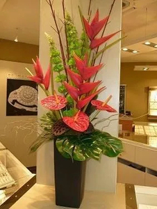 Simply Tropical