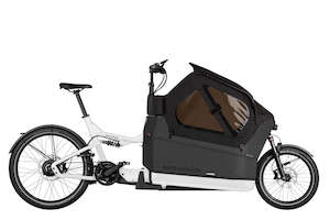Cargo Bikes: Riese and Muller Packster2 70 CT